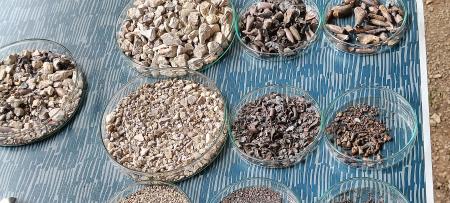 posvet SV _ varovanje okolja (5)